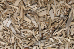 biomass boilers Clay Coton