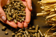 free Clay Coton biomass boiler quotes